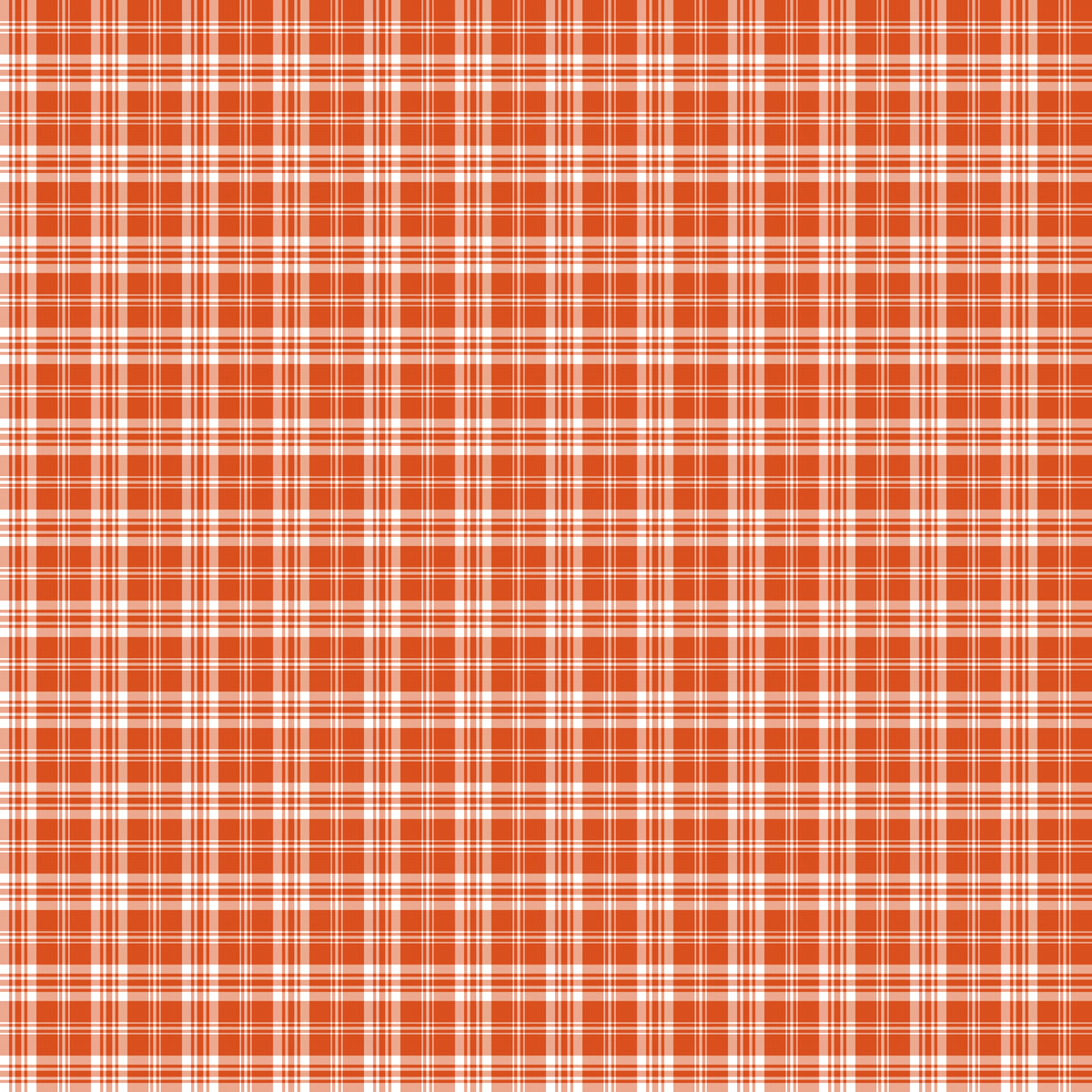Pre Order Swag Blanket - PLAID 13