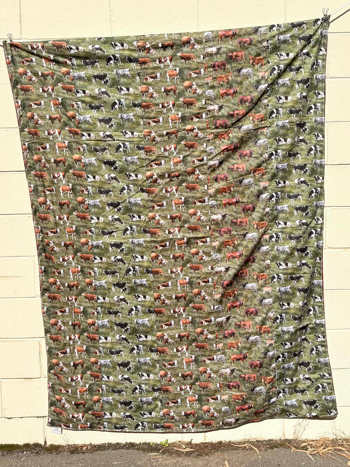Swag blanket - Cows
