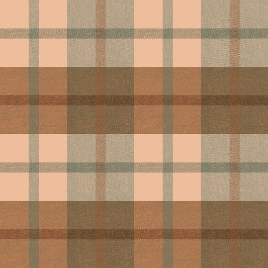 Pre Order Swag Blanket - PLAID 5
