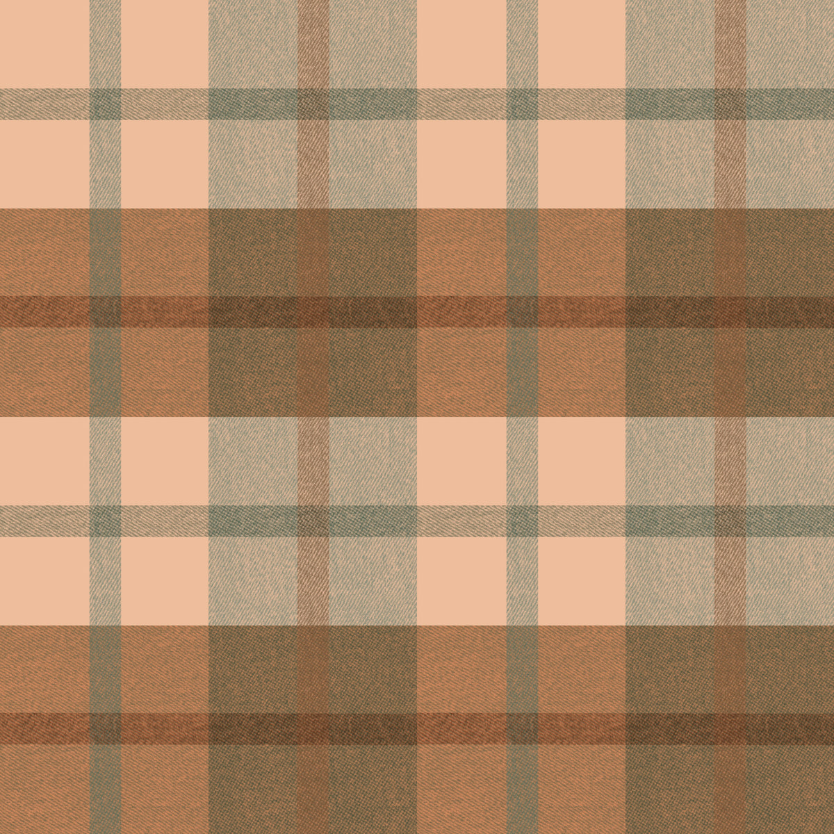 Pre Order Swag Blanket - PLAID 5