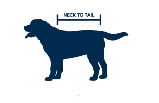 Oilskin Dog Coat - Dachshund