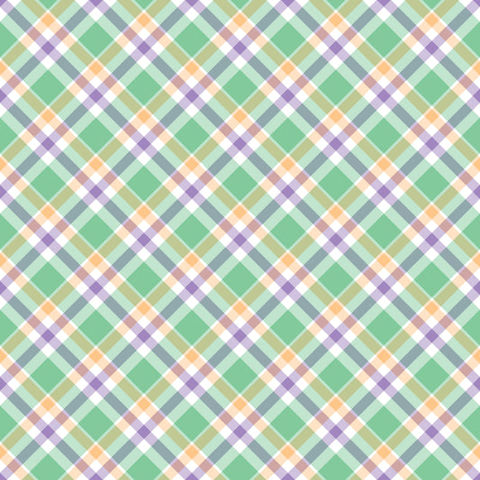 Pre Order Swag Blanket - PLAID 3