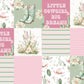Pre Order Swag Blanket - Little cowgirl, big dreams