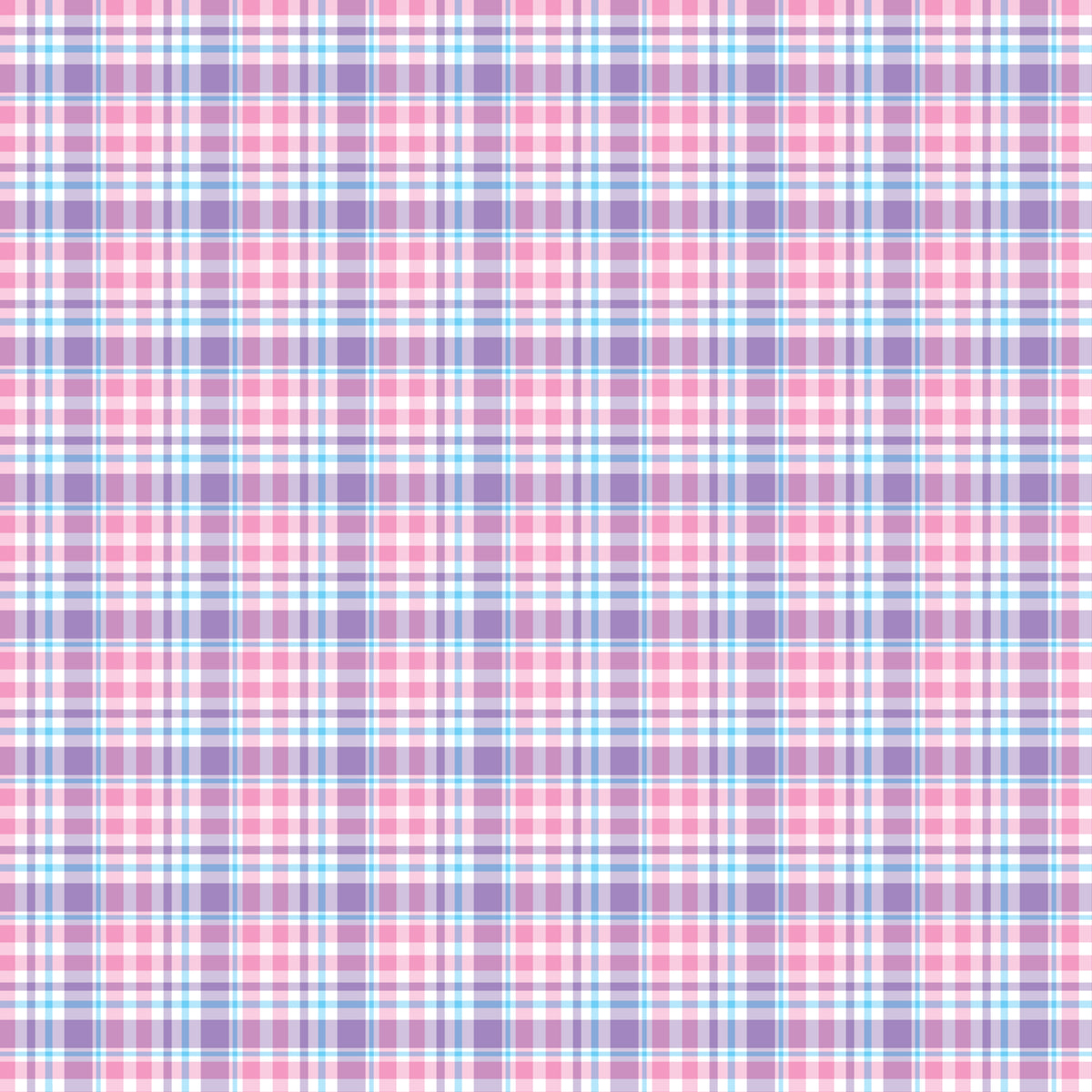 Pre Order Swag Blanket - PLAID 1