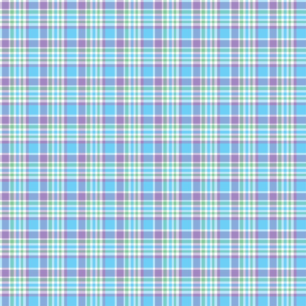 Pre Order Swag Blanket - PLAID 2