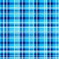 Pre Order Swag Blanket - PLAID 10
