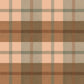 Pre Order Swag Blanket - PLAID 5