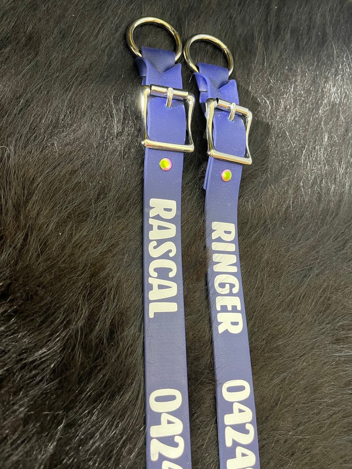 Baby Blue -  PVC Dog Collar