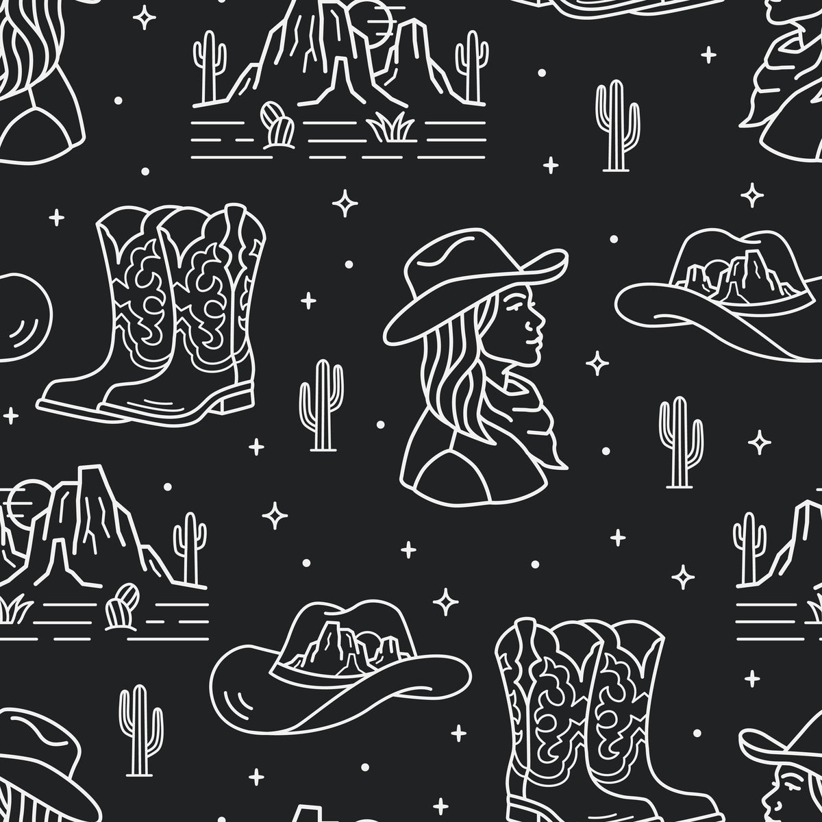 Pre Order Swag Blanket - Western line art
