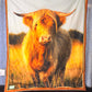 Cot Blanket - Highland Cow