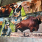 Fabric Panel - Heelers