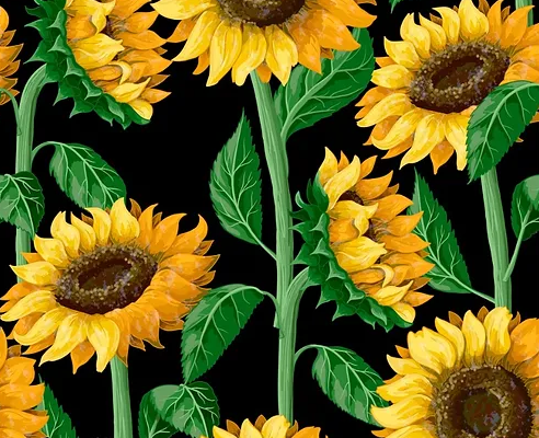 Pre Order Swag Blanket - Sunflowers